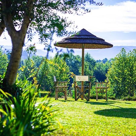Quinta Da Chouza Agroturismo E Enoturismo Celorico De Basto Εξωτερικό φωτογραφία