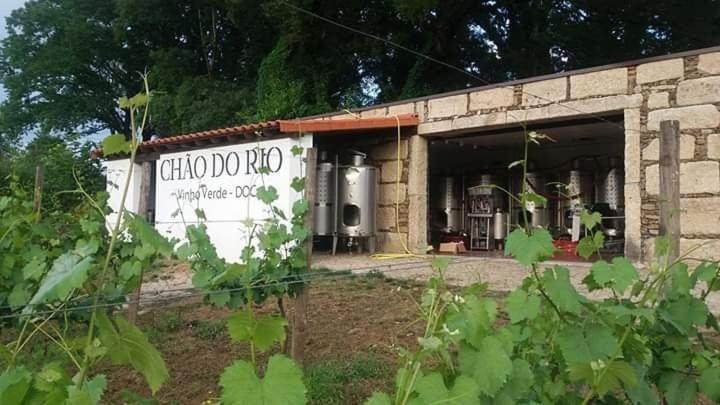 Quinta Da Chouza Agroturismo E Enoturismo Celorico De Basto Εξωτερικό φωτογραφία