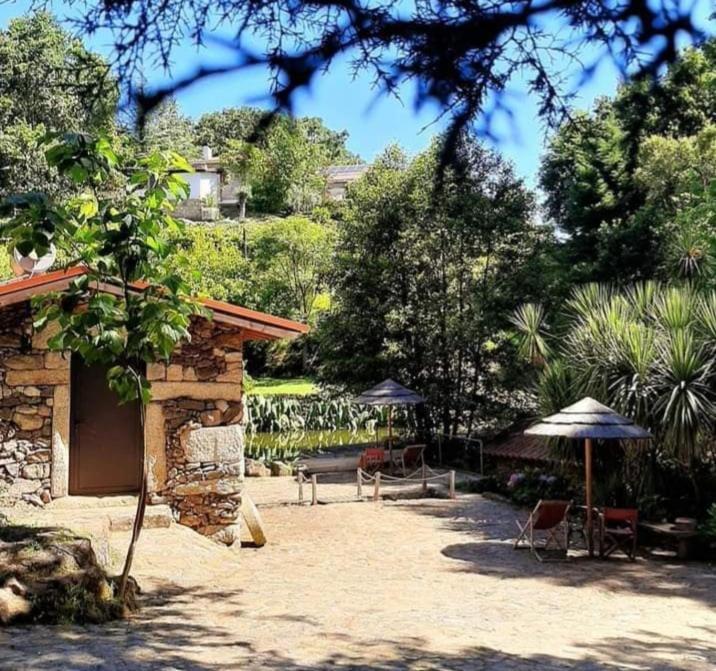Quinta Da Chouza Agroturismo E Enoturismo Celorico De Basto Εξωτερικό φωτογραφία