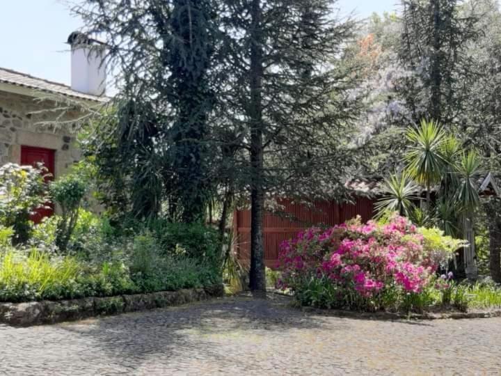 Quinta Da Chouza Agroturismo E Enoturismo Celorico De Basto Εξωτερικό φωτογραφία