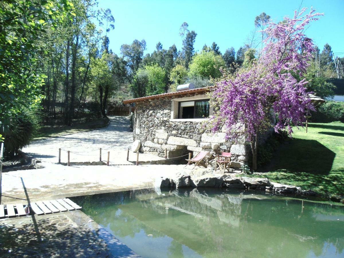 Quinta Da Chouza Agroturismo E Enoturismo Celorico De Basto Εξωτερικό φωτογραφία