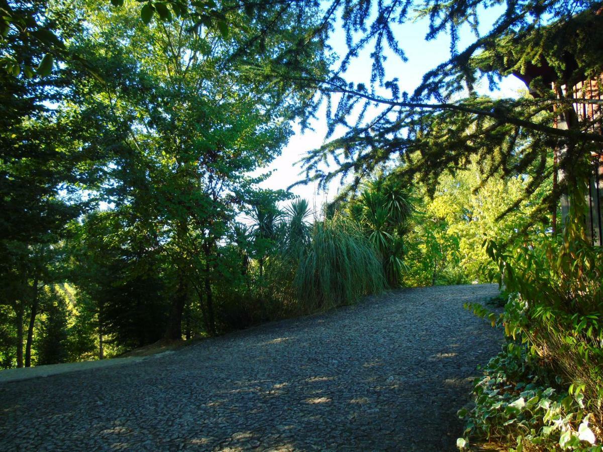 Quinta Da Chouza Agroturismo E Enoturismo Celorico De Basto Εξωτερικό φωτογραφία