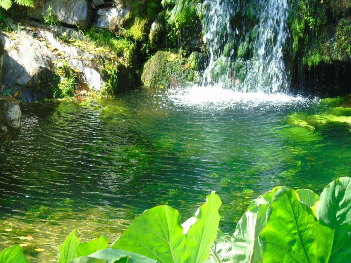 Quinta Da Chouza Agroturismo E Enoturismo Celorico De Basto Εξωτερικό φωτογραφία