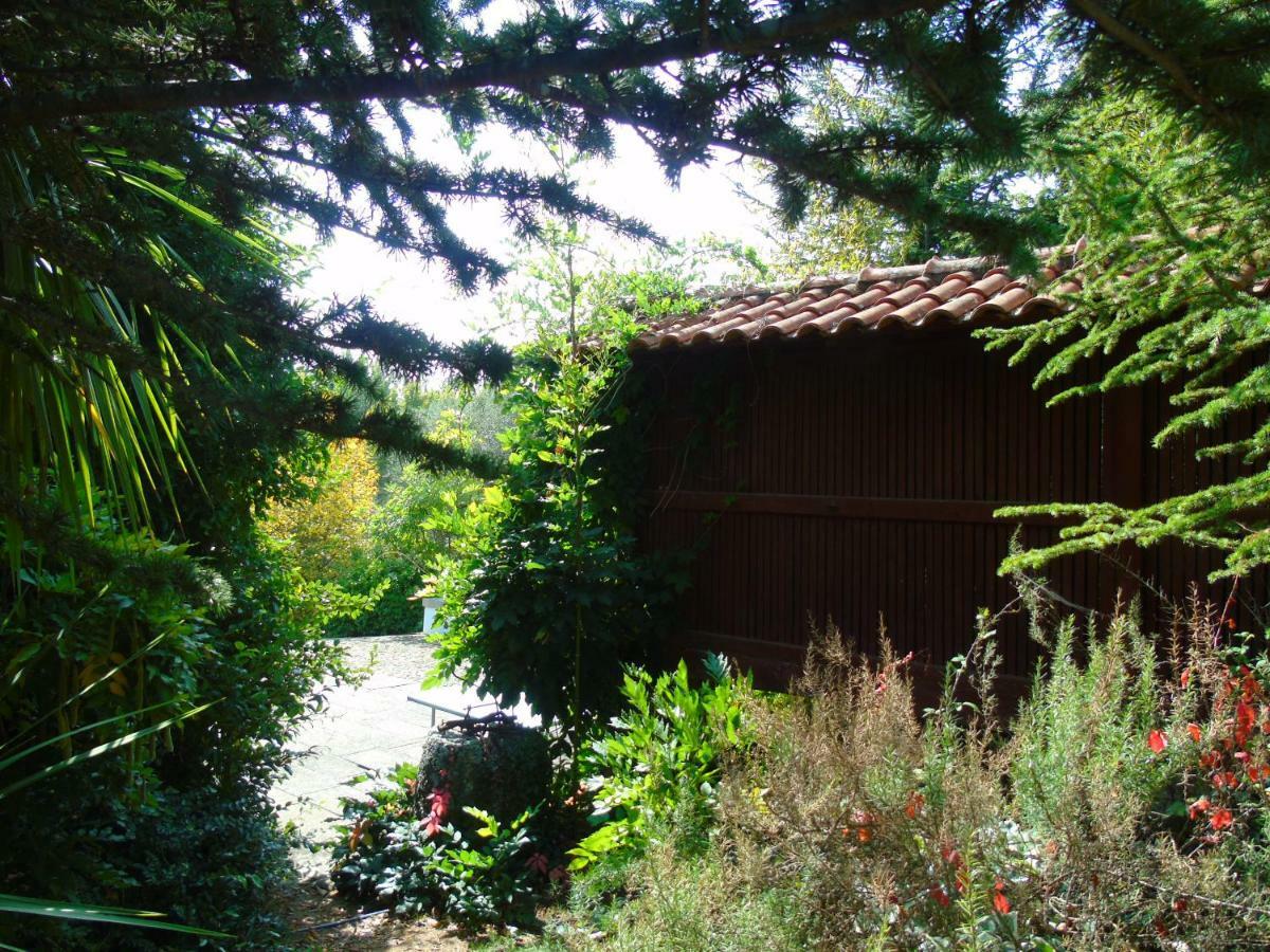 Quinta Da Chouza Agroturismo E Enoturismo Celorico De Basto Εξωτερικό φωτογραφία