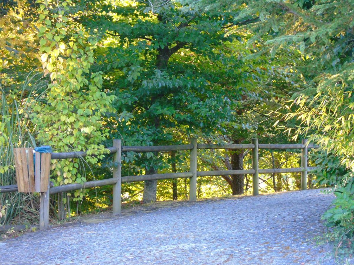 Quinta Da Chouza Agroturismo E Enoturismo Celorico De Basto Εξωτερικό φωτογραφία