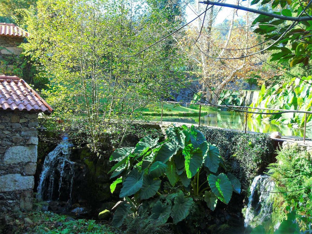 Quinta Da Chouza Agroturismo E Enoturismo Celorico De Basto Εξωτερικό φωτογραφία