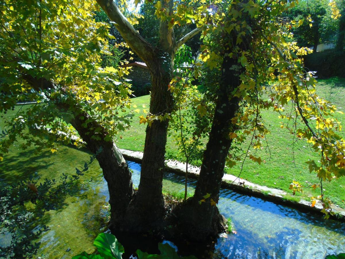 Quinta Da Chouza Agroturismo E Enoturismo Celorico De Basto Εξωτερικό φωτογραφία
